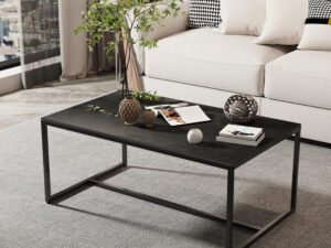 1 طاولة قهوة مستطيلة-CT-0012
